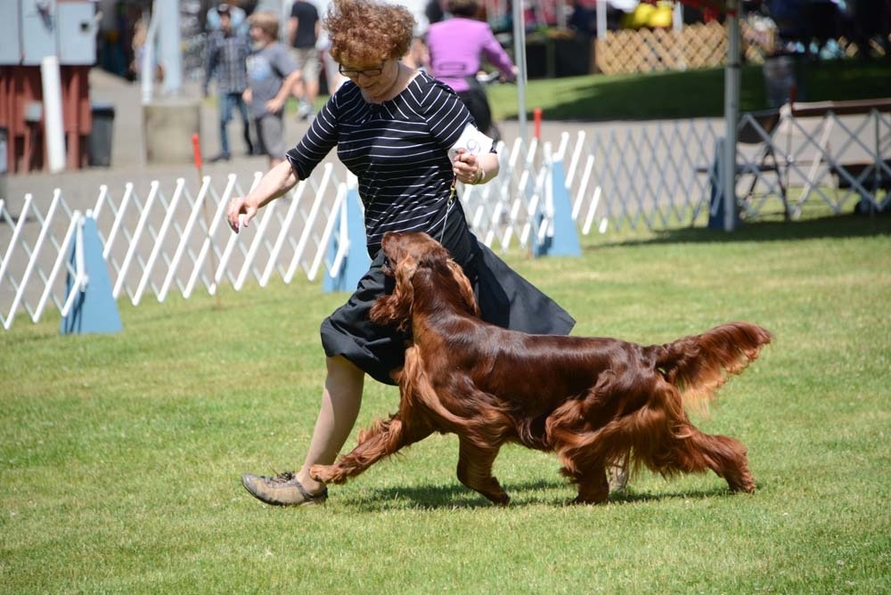 Leslie running with a dog